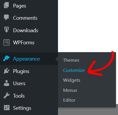 Customize option WordPress 