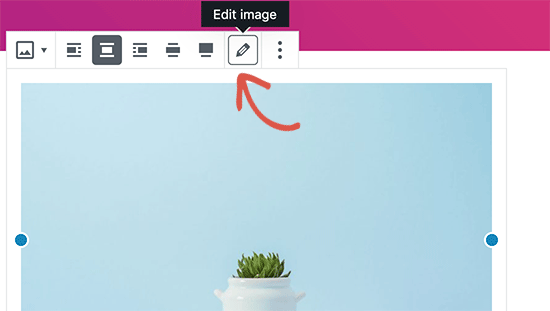 Editing an image in default WordPress editor