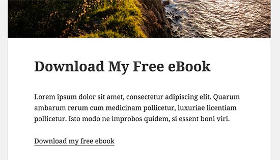 Ebook download link in a WordPress blog post