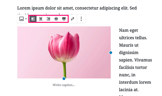 Image alignment buttons in WordPress post editor