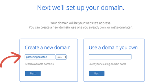 Bluehost domain checker