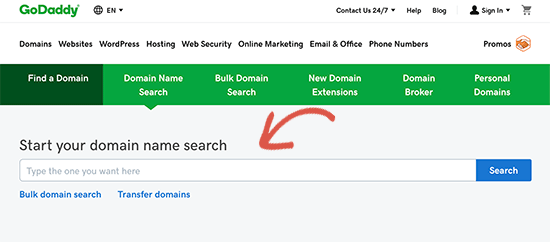 Search domain name on GoDaddy