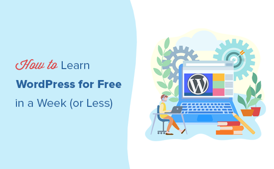 How to easily learn WordPress for free in one week
