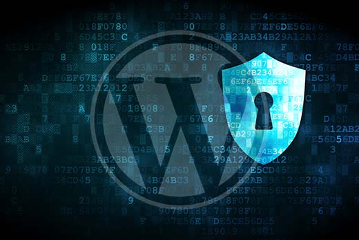 WordPress security