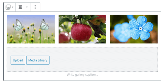 Three images in the gallery (butterflies, apple, and blue flowers)