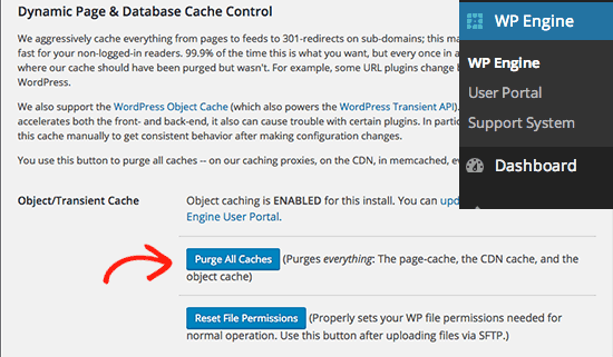 Clear WP Engine cache