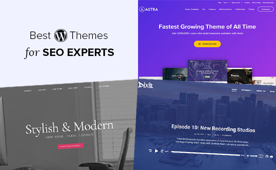 Best WordPress Themes for SEO Experts