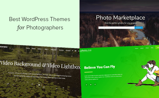 Best WordPress Themes for Photographers