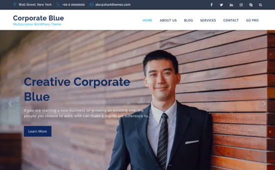 Corporate Blue