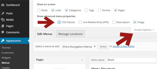 Adding a CSS class to a menu item in WordPress