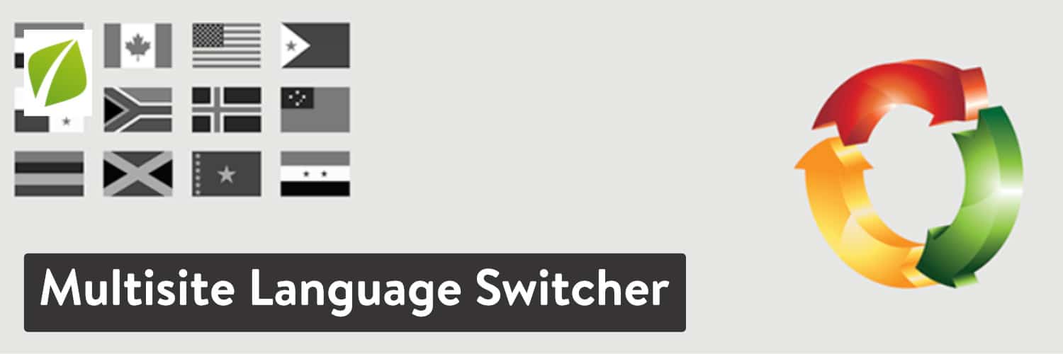 Multisite Language Switcher WordPress plugin