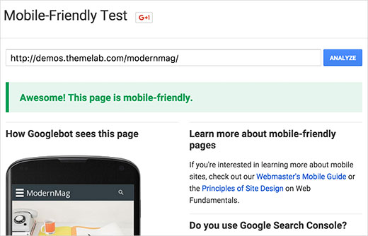 Testing a responsive theme against Google Mobile Friendly Test