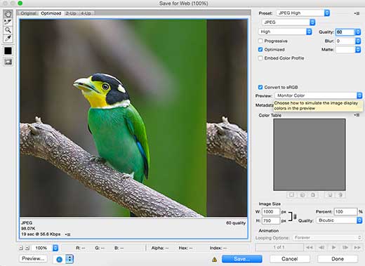 Saving images for the web in Photoshop