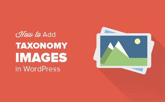 How to Add Taxonomy Images in WordPress