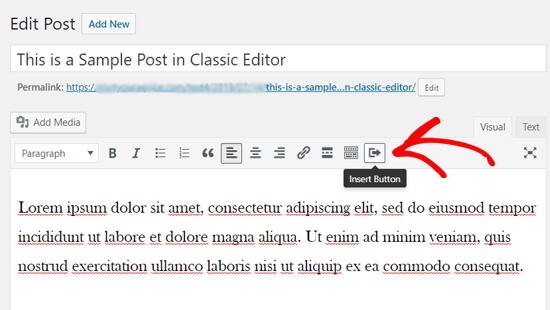 Insert Button Icon in Classic WordPress Editor