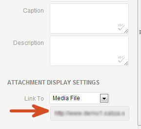 Copy File Location in Media Uploader