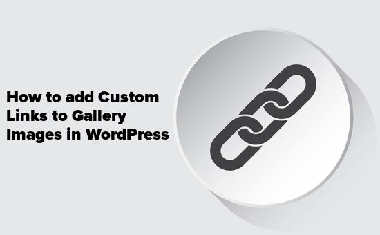 Adding custom link to a single image in WordPress