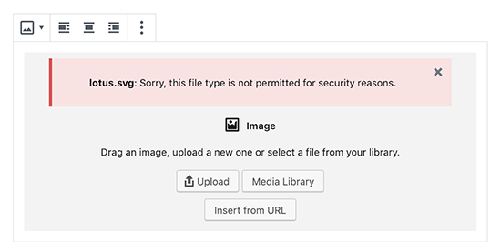SVG security error in WordPress