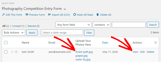 The file links shown in the WPForms entry in the table