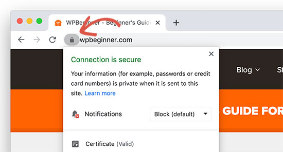 Padlock icon indicating a website using SSL HTTPs protocol