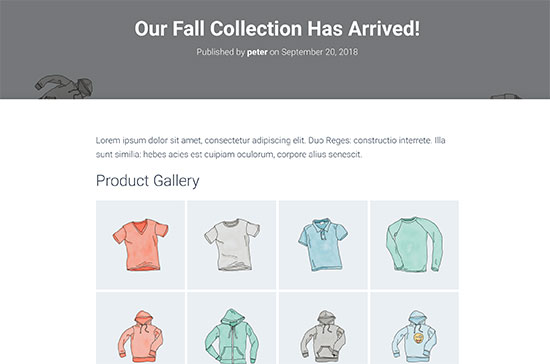 WooCommerce product gallery preview