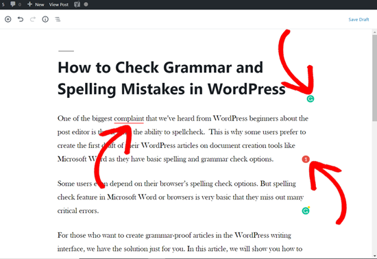 Grammarly Suggestions on a WordPress post