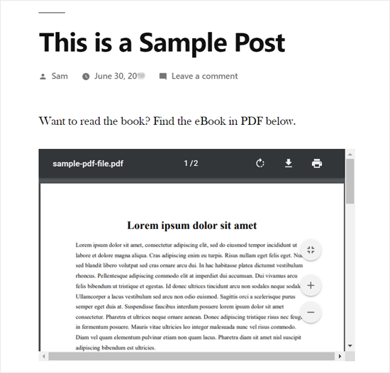 PDF Embedded in WordPress Post Preview