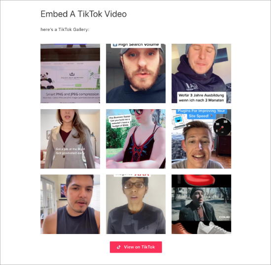 TikTok gallery in page