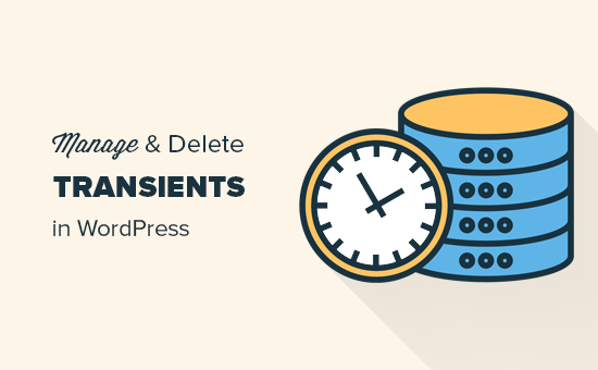 How to easily manage transients in WordPress