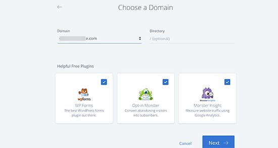 Select domain name and essential plugins