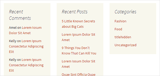 Preview of WordPress widgets aligned horizontally in columns