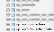 The wp_wpforms_entries and wp_wpforms_entry_meta tables shown in the phpMyAdmin list