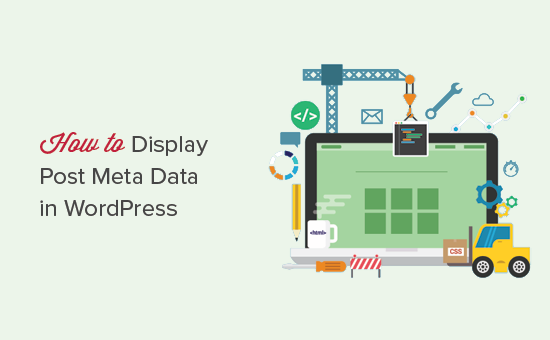 Displaying post meta data in WordPress