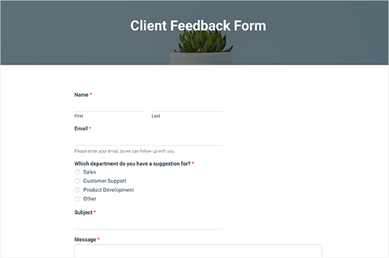 Client feedback form preview