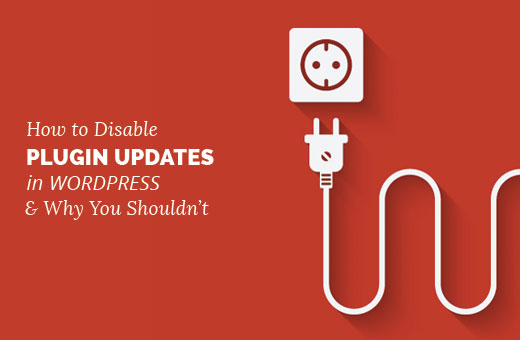 How to Disable Plugin Updates in WordPress