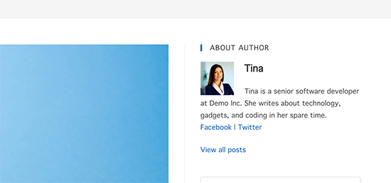 Author bio box widget 