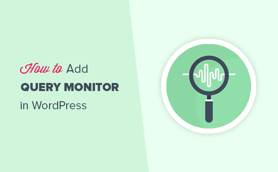 Adding a WordPress query monitor
