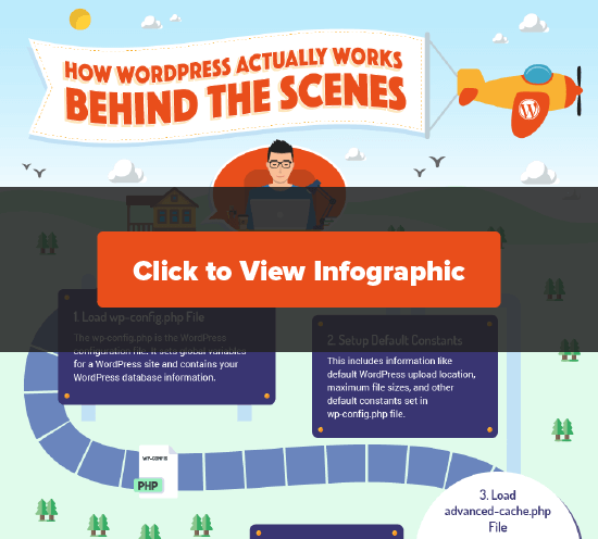 Click to View the Behind the Scenes WordPress Infographic