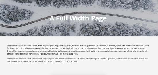 Full width page using theme's full width template