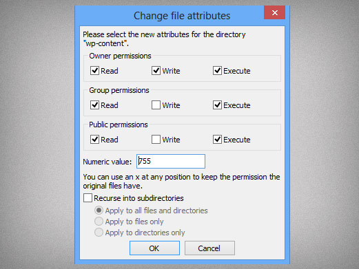 Setting file permissions in an FTP client