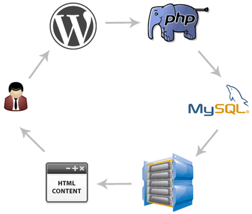 How WordPress dynamically generates HTML by querying MySQL database using PHP based on user request