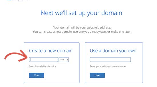 Select a domain name