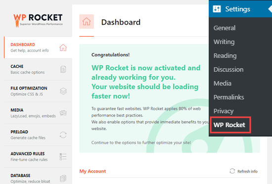 The message showing that WP Rocket is active and working on your site